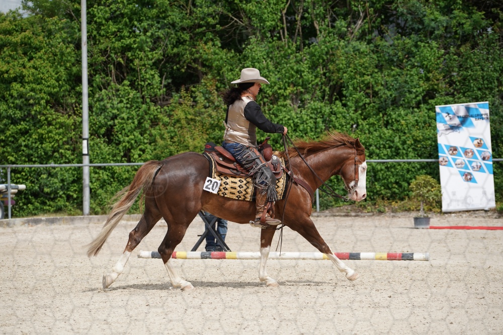 s_A9_09234.jpg